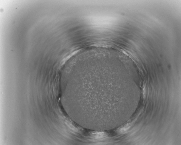 X0000088430428200705291530