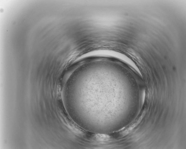 X0000088430429200705291529