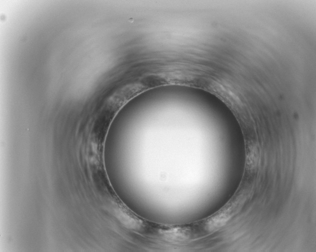 X0000088430430200705291529