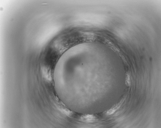 X0000088430431200705291529