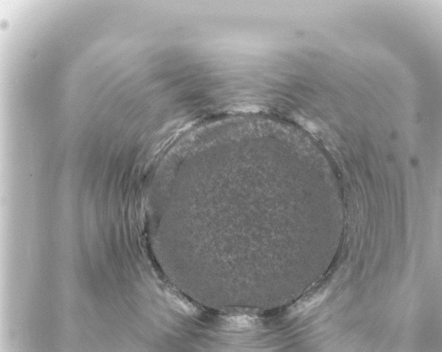 X0000088430432200705291529