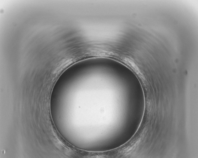 X0000088430433200705291529