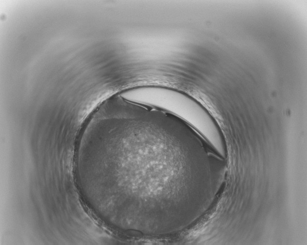 X0000088430434200705291529