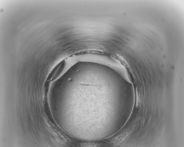 X0000088430435200705291529