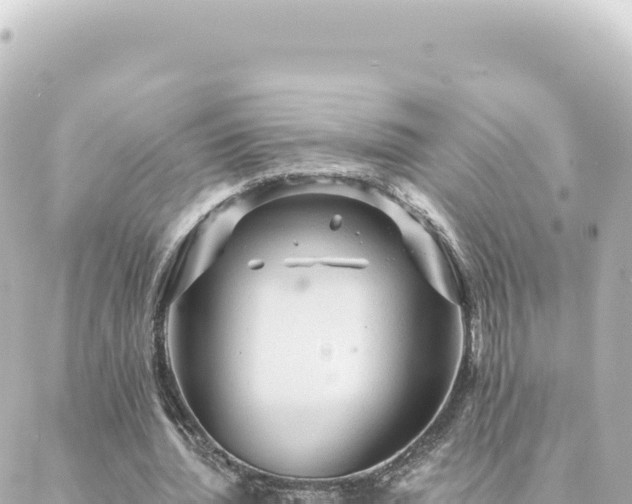 X0000088430436200705291529