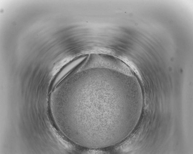 X0000088430437200705291529