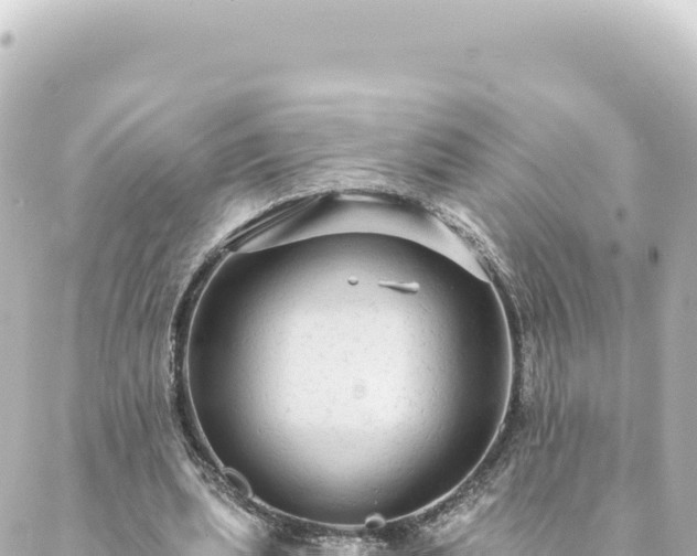 X0000088430439200705291529