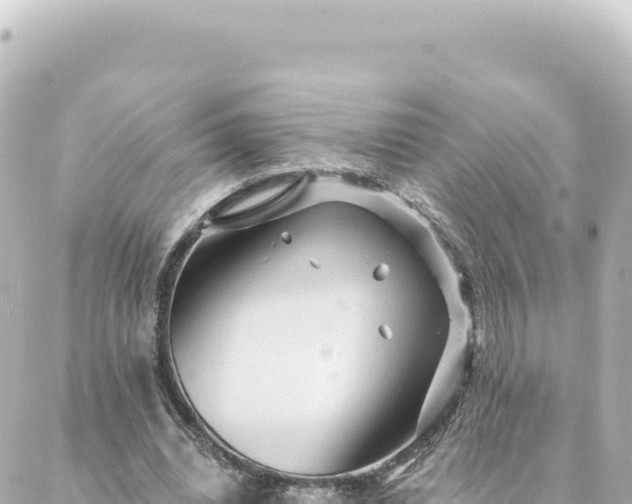 X0000088430440200705291529