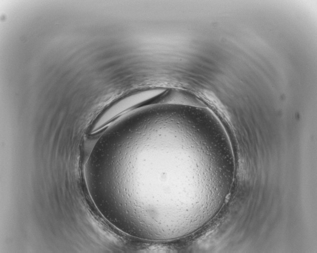 X0000088430441200705291529