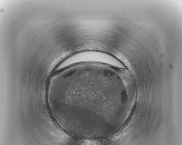 X0000088430442200705291529