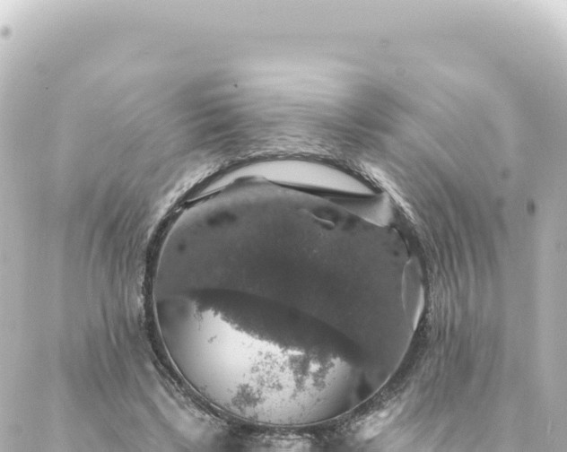 X0000088430443200705291529