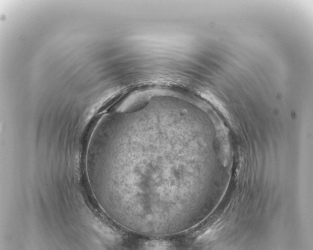 X0000088430444200705291529