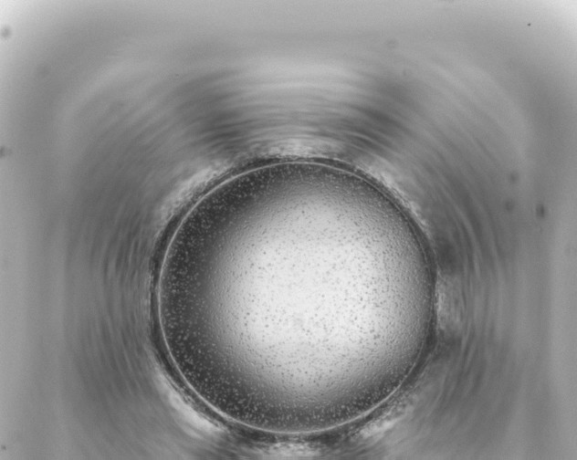 X0000088430445200705291529