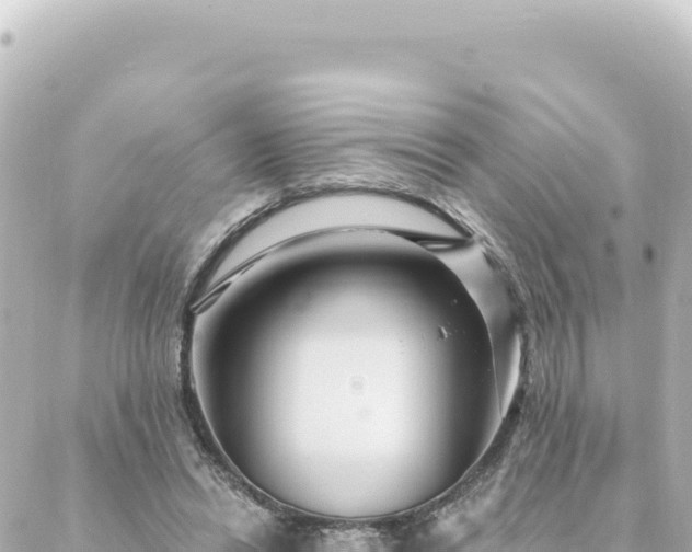 X0000088430446200705291529