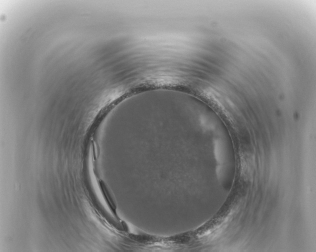 X0000088430447200705291529