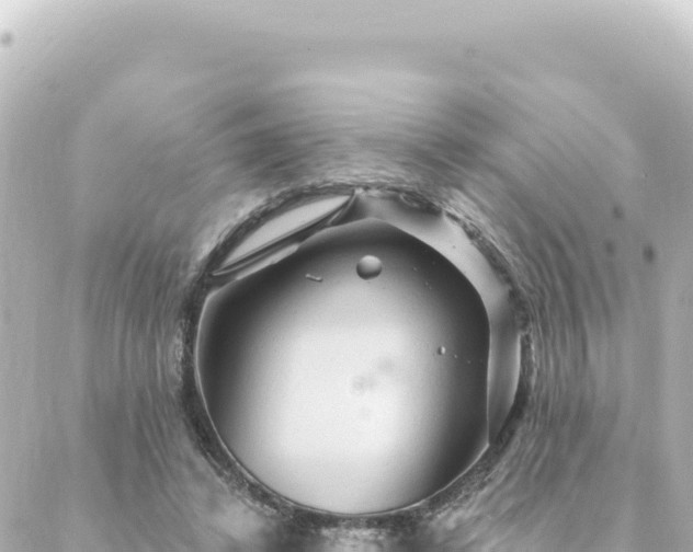 X0000088430448200705291529