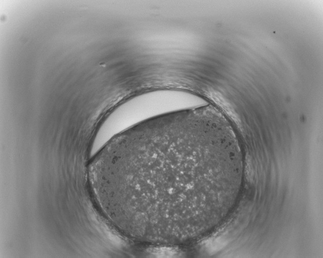 X0000088430449200705291529