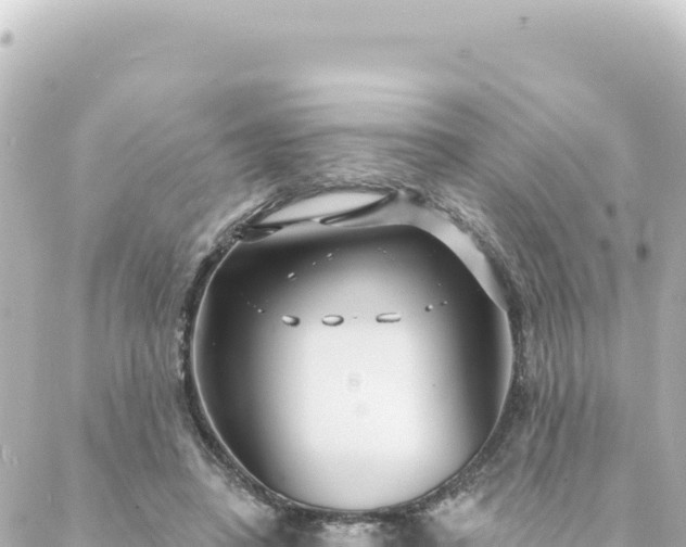 X0000088430450200705291529