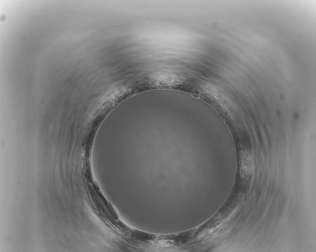 X0000088430451200705291529