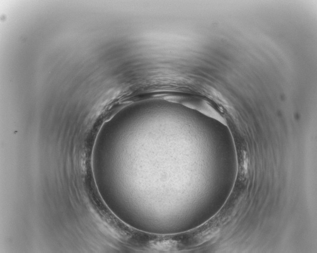 X0000088430452200705291529