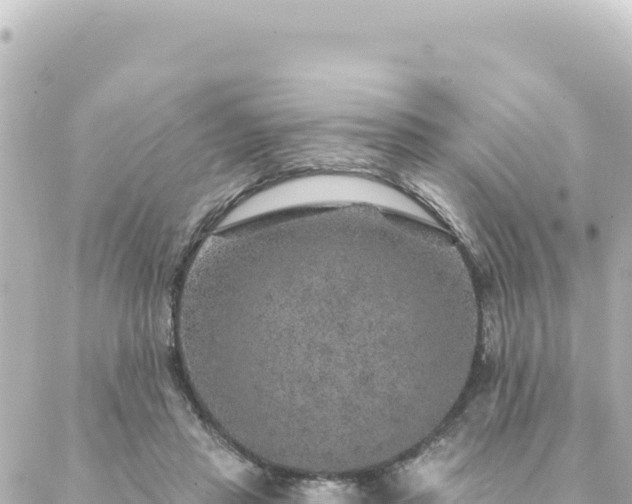 X0000088430453200705291529