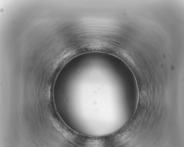 X0000088430454200705291529