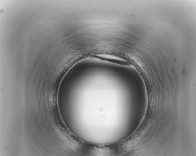 X0000088430455200705291529