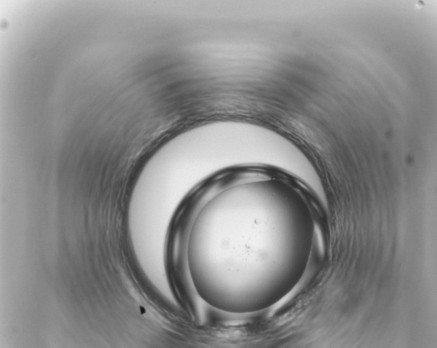 X0000088430456200705291529