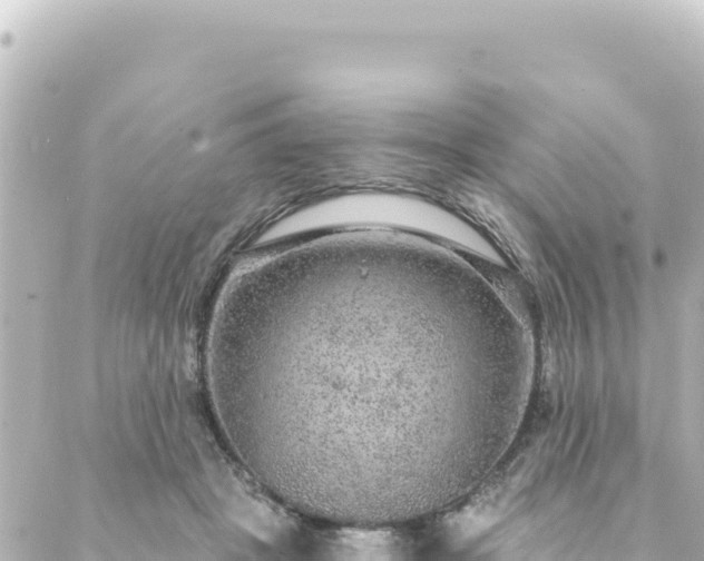 X0000088430457200705291529