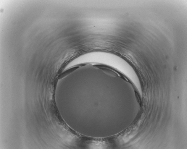 X0000088430458200705291529