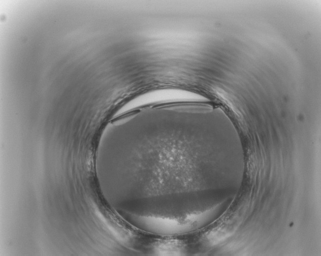 X0000088430459200705291529