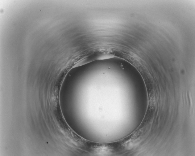 X0000088430460200705291529