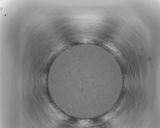 X0000088430461200705291529