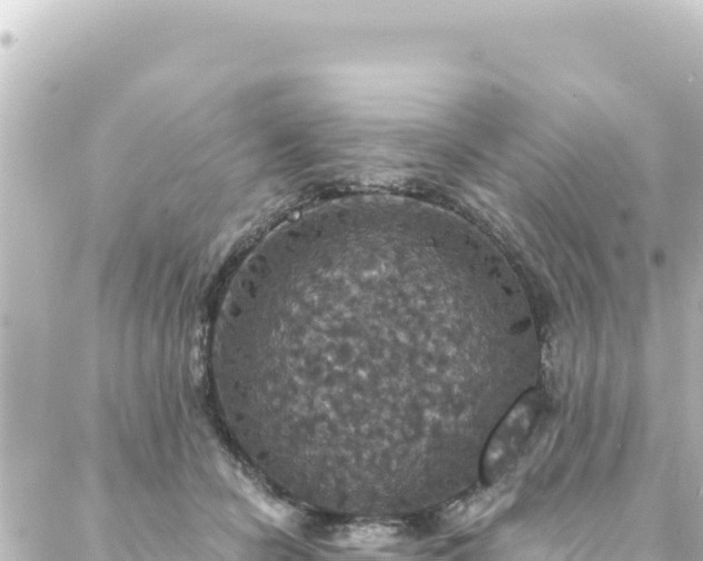 X0000088430462200705291529