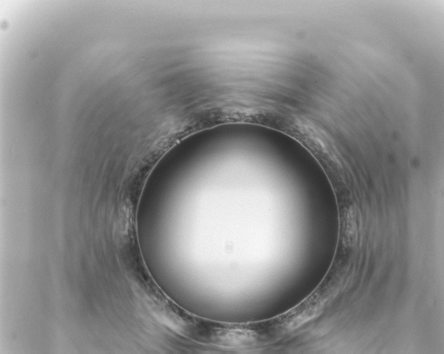 X0000088430463200705291529