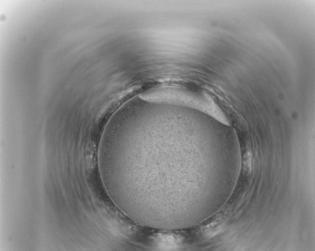 X0000088430464200705291529