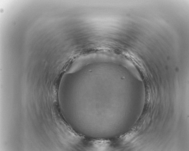 X0000088430465200705291529