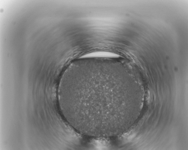 X0000088430466200705291529