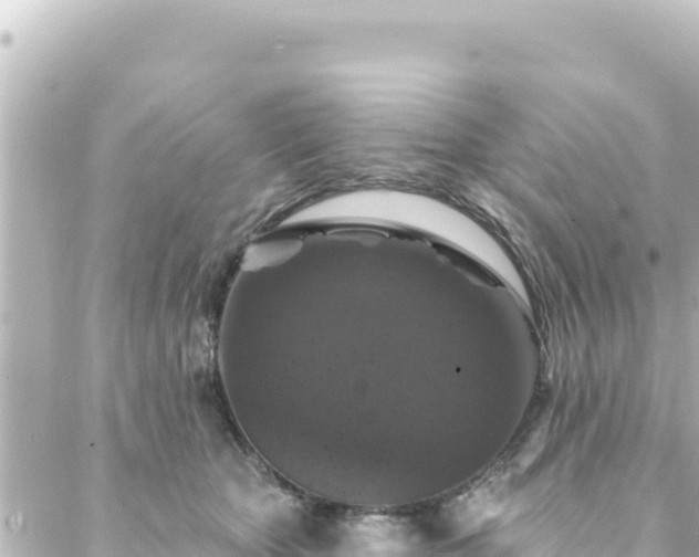 X0000088430467200705291529