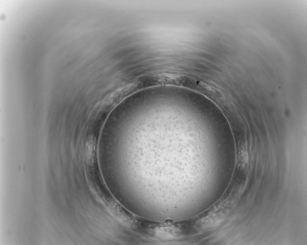 X0000088430468200705291529