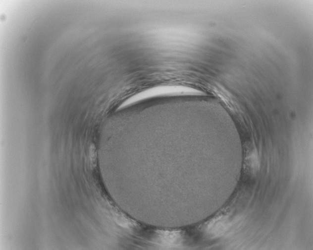 X0000088430469200705291529