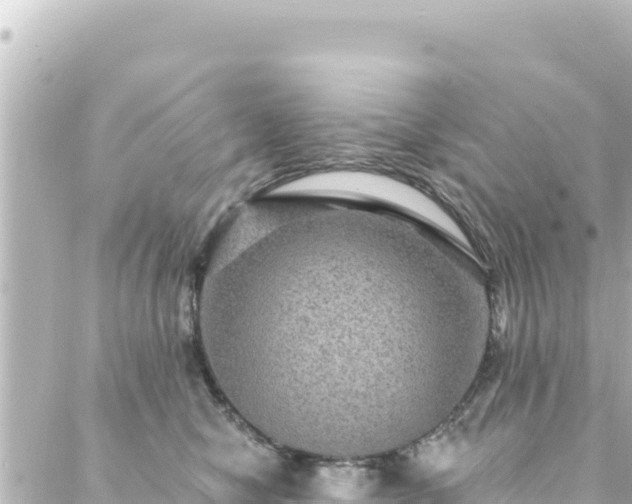 X0000088430470200705291529