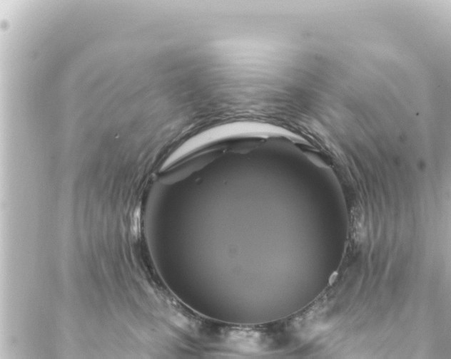 X0000088430471200705291529