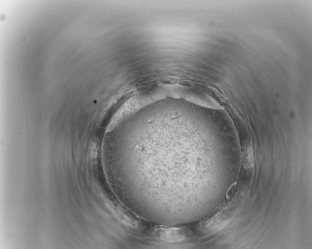 X0000088430472200705291529