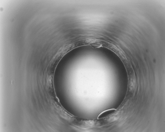 X0000088430473200705291529