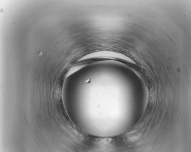 X0000088430474200705291529