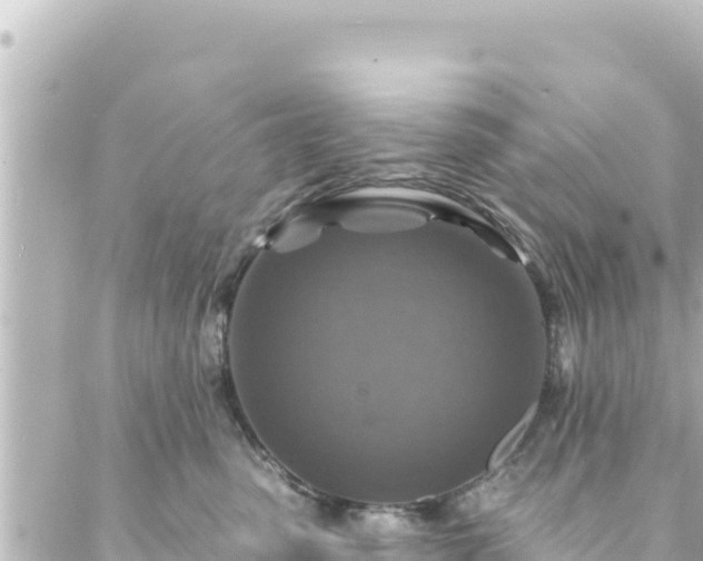 X0000088430475200705291529