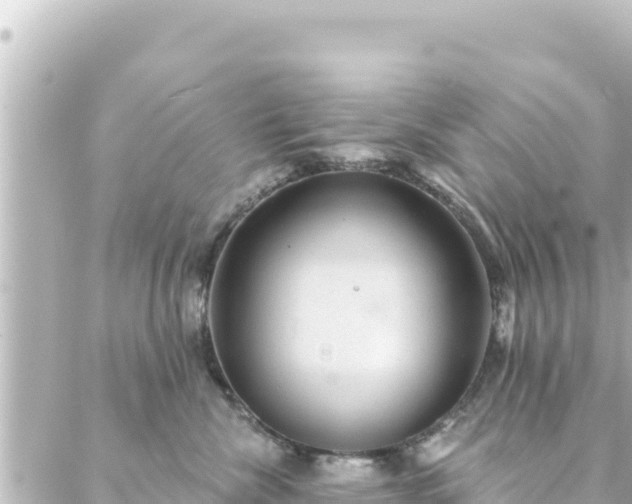 X0000088430476200705291529