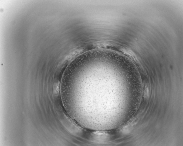 X0000088430477200705291529