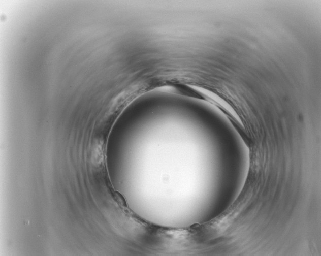 X0000088430478200705291529